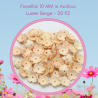 Fiorellini 10MM Pastel Spring Vol.1 BAG