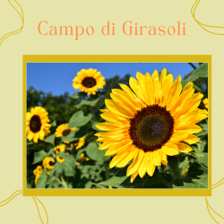 Special Bag Campo di Girasoli