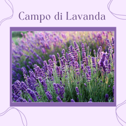 Special Bag Campo di Lavanda
