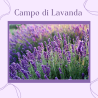 Special Bag Campo di Lavanda
