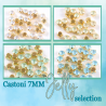 Castoni 7MM Jelly Color Seletion